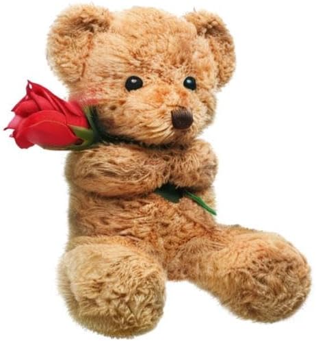 Civaner Bear Stuffed Animal Gift with Rose Funny Cute Bear Stuffed Animal Plush Gift for Mother Girlfriend Birthday Wedding, 11.8 Inches(Beige)
