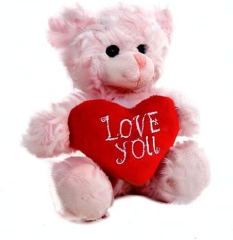 Plush Stuffed Animal Pink Heart Bear – Love You Bears- Toy for Kids & Adults Valentine's Day - Embroidered Heart Pillow (6 Inch, Pink Love You)