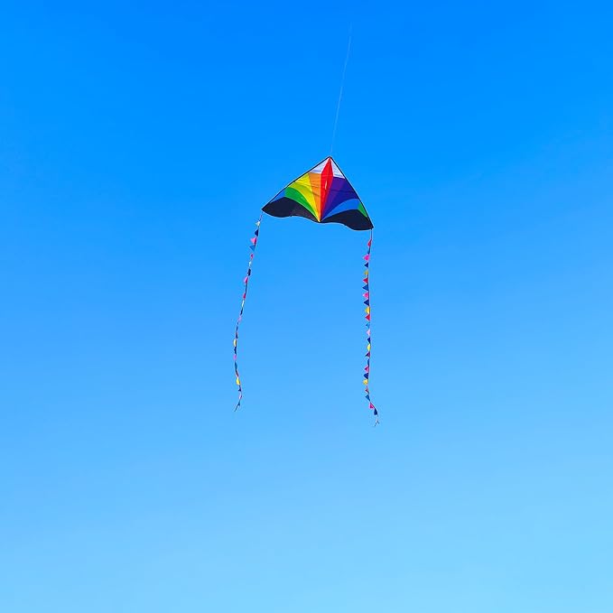 Delta Kite for Kids & Adults - Easy to Fly Large Single Line Beach Kite with 300ft String Handle Included, Perfect for Beginners, Teens