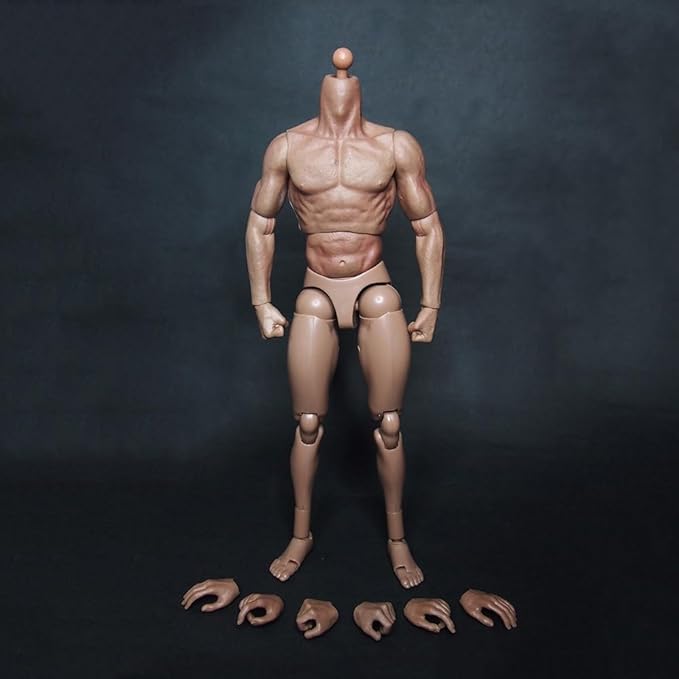 1/6 Scale Muscle Male Body 12in Flexible Muscle Male Action Figure Doll Miniature Figure Without Head Sculpt