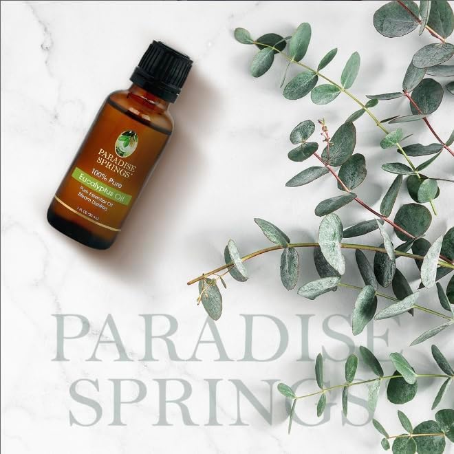 Paradise Springs Eucalyptus Essential Oil, 100% Pure and Natural Eucalyptus Essential Oil for Diffusers for Home Aromatherapy, Massage, Humidifiers, 1oz (30ml)