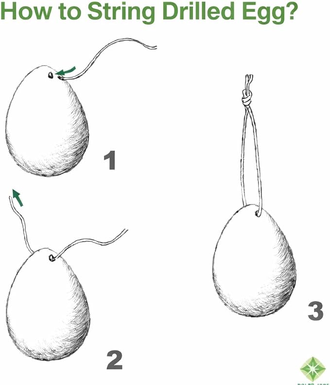 Polar Jade Stone Egg Made of Nephrite Jade, Medium Size (43x30mm), Drilled, with Unwaxed String and Instructions