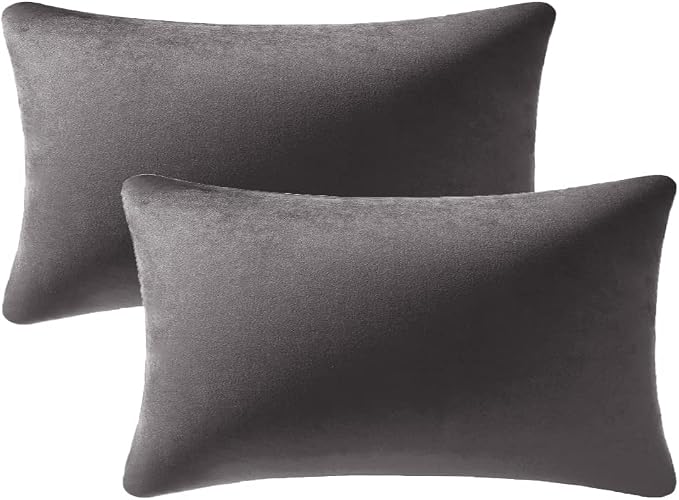 Lumbar Pillow Covers 12x20 Dark-Grey: Pack of 2 Cozy Soft Velvet Rectangular Modern Luxury Decorative Throw Pillow Cases for Sofa Couch Living Room Bed Home Decor