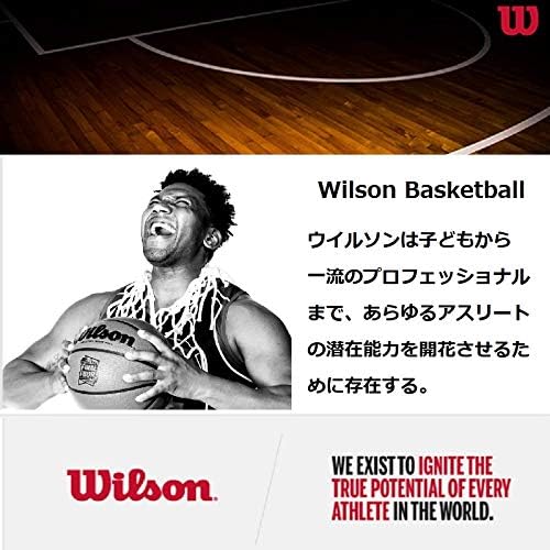 WILSON NBA Team Mini Basketball Hoops