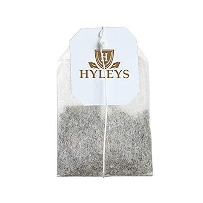 HYLEYS Organic Green Tea with Soursop Flavor, 300 Individually Wrapped Tea Bags (12 Pack of 25) - USDA Organic Graviola Guanabana Tea with Light Caffeine