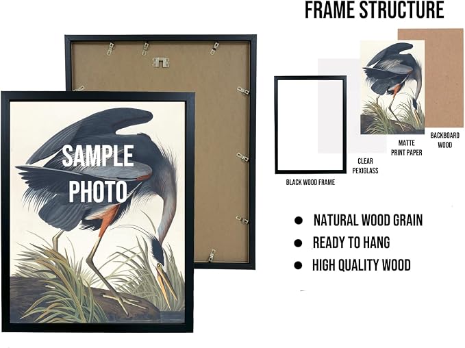 Thailand, Cassia Fistula Linn Art Print Poster, Flower Market Wall Art, Floral Artwork Decor for Bedroom, Kitchen, Bathroom, Livingroom Decoration 52 (Thailand, Cassia Fistula Linn, 24"L x 18"W, Black Frame)