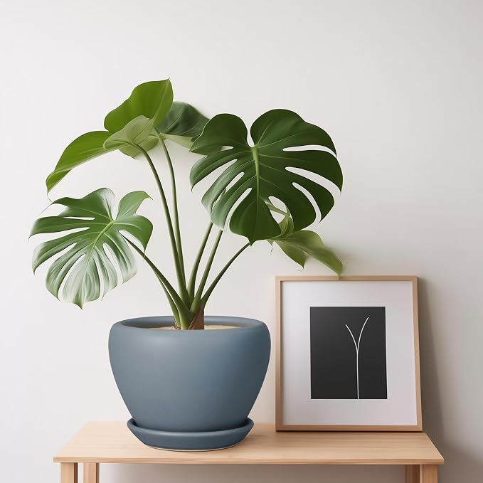 Ceramicfor Ceramic Pot for Plants - 6 Inch Plant Pot Indoor with Drainage Hole and Saucer Decorative Planter for Outdoor Plants Modern Succulent Pots Round Flower Pots Gray