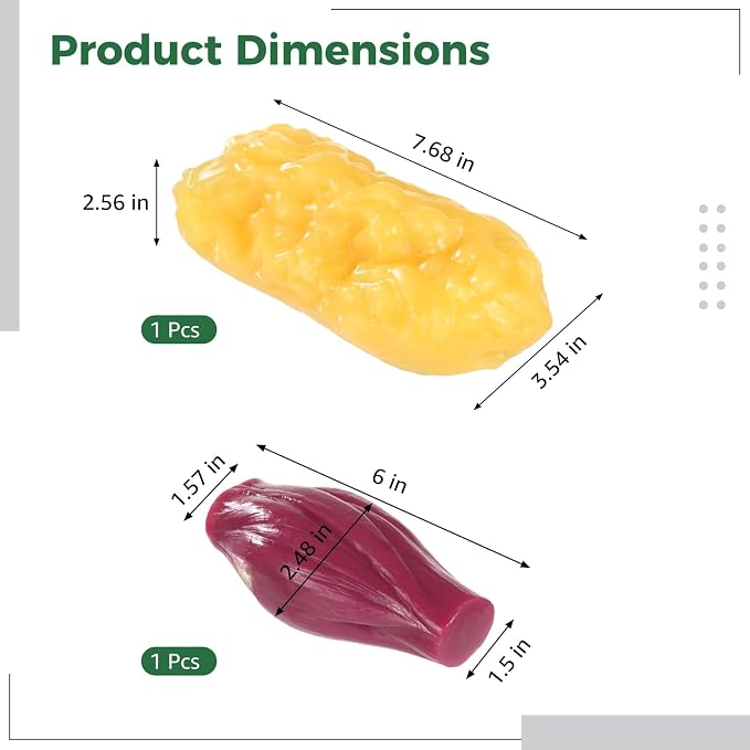 2 Pcs Human Muscle and Fat Models, 1 lb Fat Replica and 1 lb Muscle Replica, Realistic Anatomy Models for Education, Fitness Motivation, Nutrition Analysis