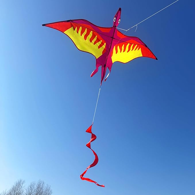 HENGDA KITE 2 Pack Dragon Kites for Kids and Adults,Dinosaur Kite Easy to Fly,Beach Kites for Family Outdoor Toy Games & Activities,Suitable for Beginners