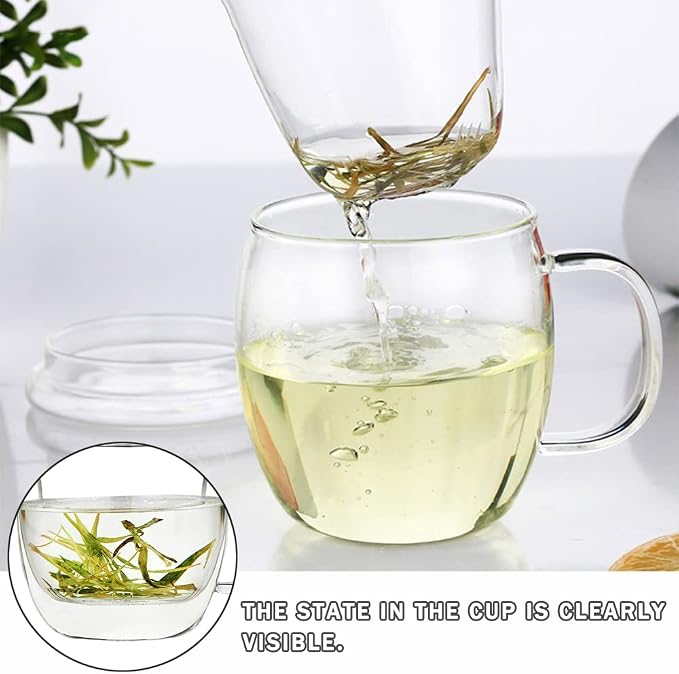 Glass Tea Cup with Infuser and Lid,500ml (17oz) Borosilicate Glass Tea Mugs for Loose Leaf Tea,Glass Tea Cups with Filter for Black Tea,Great Loose Tea-leaf Brewing System