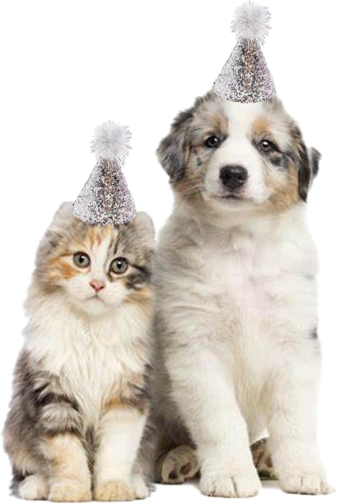 Dog Birthday Hat Set for Small Medium Dogs Cat Puppies, Mini Party Hat with Adjustable Headbands, Cute Pet Hat with Pompons for Birthday Christmas Party Decoration Accessories (Small 3 inch 10pcs)