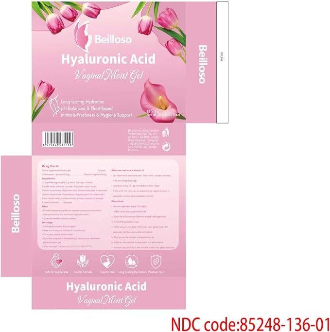 Vaginal Moisturizer Gel — Hyaluronic Acid Formula for Long-Lasting Dryness Relief | 12 Pre-Filled Single-Use Applicators | Hormone-Free, pH Balanced