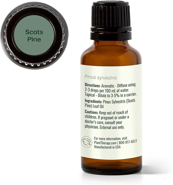 Plant Therapy Scots Pine Essential Oil 30 mL (1 oz) (Pack of 2) 100% Pure, Undiluted, Aromatherapy for Clear Breathing, and Sore Muscle Relief