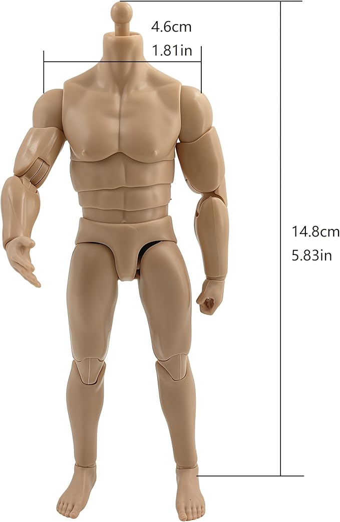 1:12 Male Action Figure Body – 6 Inch Highly Articulated Muscle Figure Base for Custom Military Models, Kitbashing, and Display Builds (3-Part Waist)
