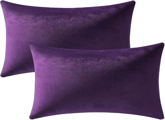 Lumbar Pillow Covers 12x20 Purple: Pack of 2 Cozy Soft Velvet Rectangular Modern Luxury Decorative Throw Pillow Cases for Sofa Couch Living Room Bed Home Decor