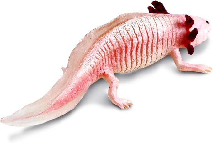 Safari Ltd. Axolotl Figurine - Realistic 7" Model Figure - Educational Toy for Boys, Girls, and Kids Ages 3+