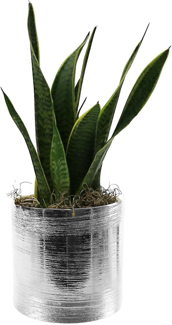 WGVI Silver Etched Ceramic Cylinder Vase Width 6.5" Height 6", Flower Arrangements, Candle Holder, Terrarium Planter Pot, Storage Container Organizer, Pen Brush Holder, Scratched Texture Design, 1 Pc