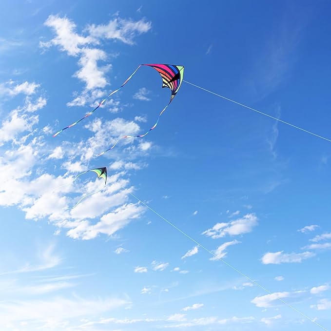 Mint's Colorful Life Delta Kite for Kids & Adults, Extremely Easy to Fly Kite for Beach Trip, Best Kites for Beginners, 300ft String Handle Included