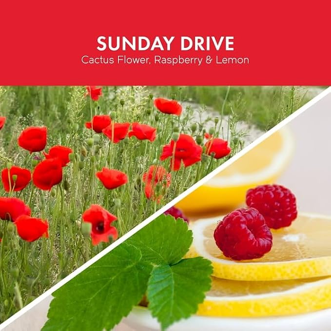 GC Scent Wax Melt, 2.1oz (3pack) (Sunday Drive)