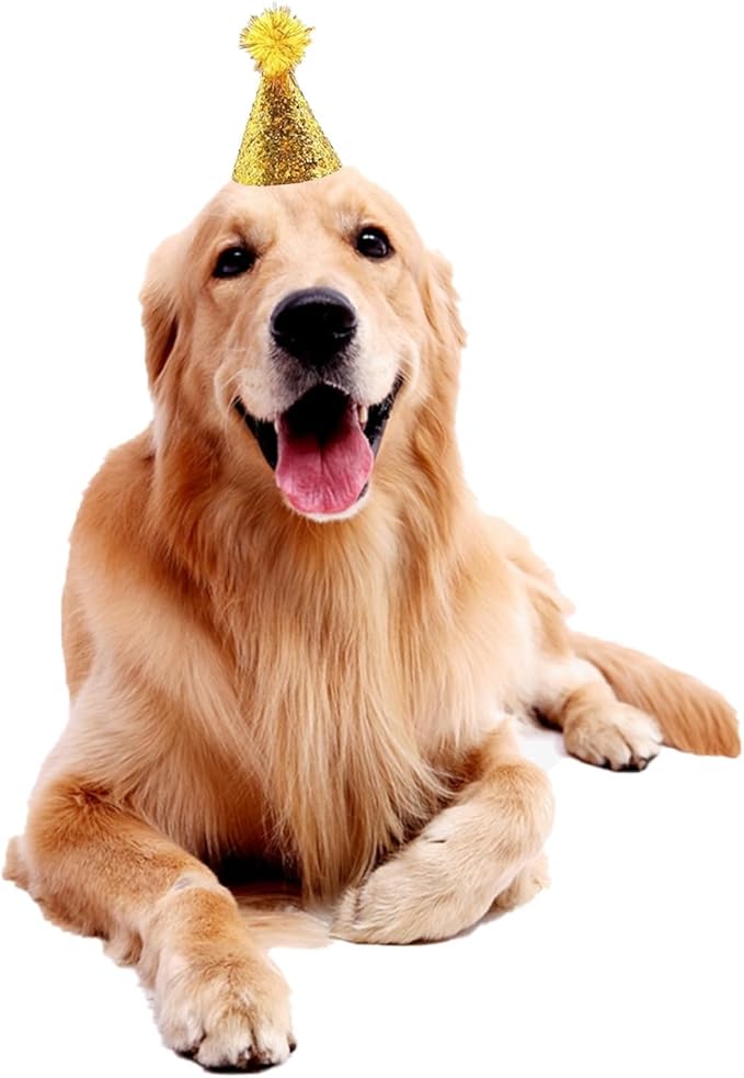 Dog Birthday Hat Set for Small Medium Dogs Cat Puppies, Mini Party Hat with Adjustable Headbands, Cute Pet Hat with Pompons for Birthday Christmas Party Decoration Accessories (Small 3 inch 20pcs)