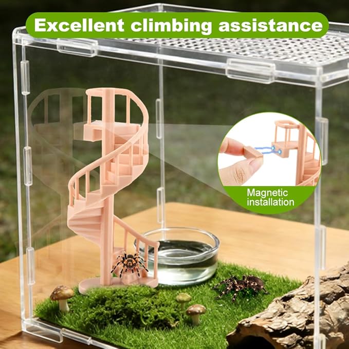 Mini Spiral Staircase Climber,Jumping Spiders Spinning Stairs,Spiderweb Spiral Stair,Climbing Set with Magnetic Mount for Jumping Spider Enclosure Accessory Decoration 