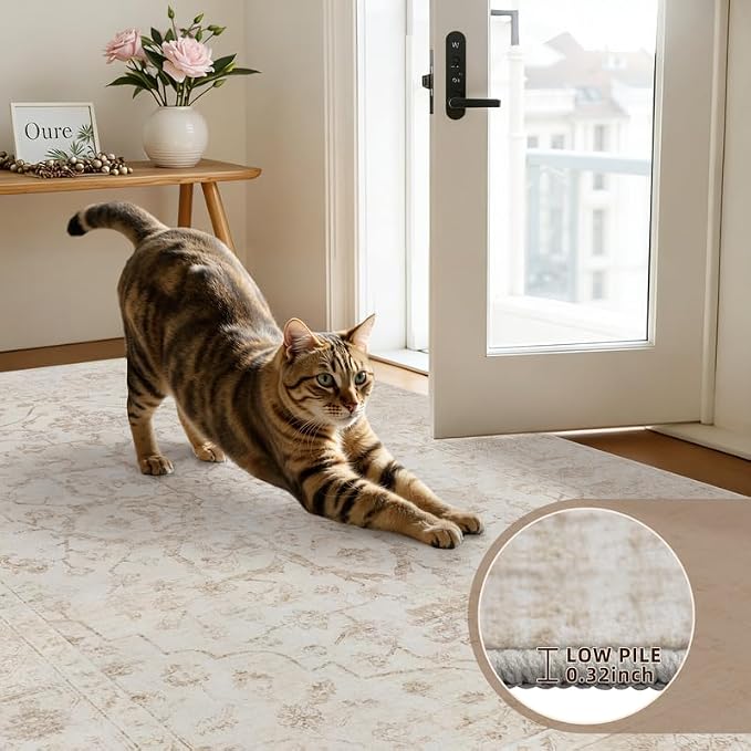 Area Rugs 9x12 Living Room: Vintage Boho Neutral Washable Rug Indoor Soft Large Area Rug Carpet for Bedroom Nursery Farmhouse Dining Room Office Floor Non-Slip Low Pile Under Table Rug Warm Beige