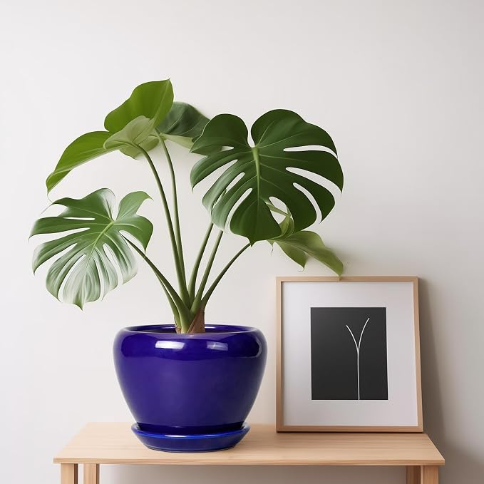 Ceramicfor 6 Inch Plant Pot - Ceramic Pots for Plants Succulent Pot with Drainage Hole and Saucer Round Planter Outdoor Flower Pot for Herb Snake Plants Blue