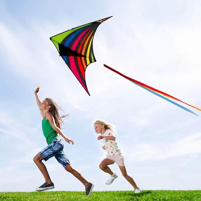 Mint's Colorful Life Delta Kite for Kids & Adults, Extremely Easy to Fly Kite for Beach Trip, Best Kites for Beginners, 300ft String Handle Included