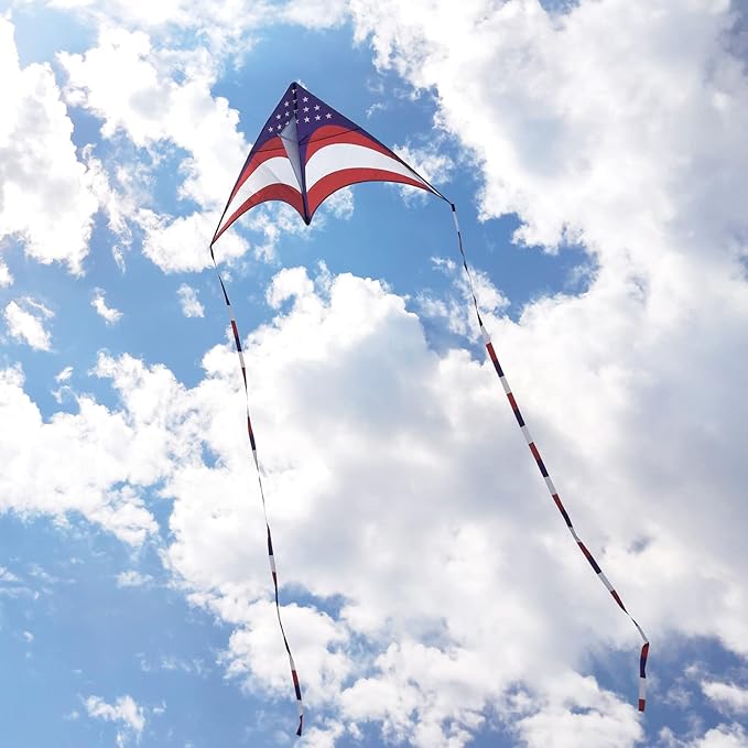 Mint's Colorful Life Delta Kite for Kids & Adults, Extremely Easy to Fly Kite for Beach Trip, Best Kites for Beginners, 300ft String Handle Included
