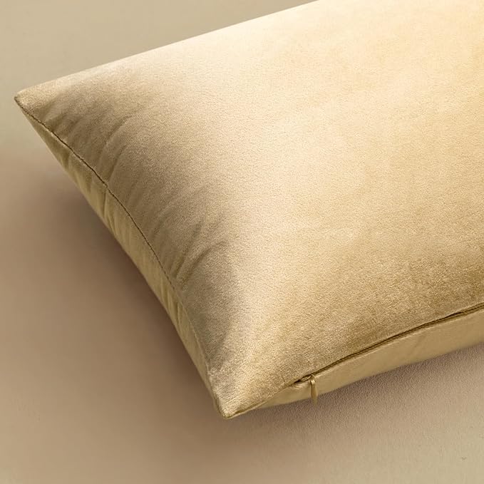 MIULEE Velvet Throw Pillow Covers 16x16 Inch Pack of 2 Beige | Soft Solid Small Decorative Pillow Covers, Modern Luxury Home Decor, for Couch Chair Sofa Bedroom Livingroom Car