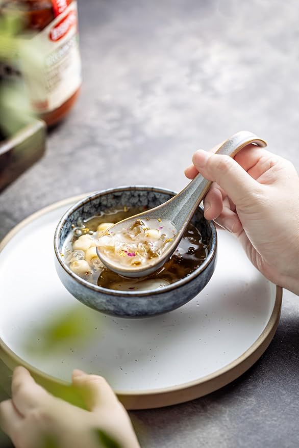 LYEOBOH Ceramic Asian Soup Spoons Set of 6, Ramen Spoons with Long Handle | Japanese Ramen Spoons with Deep Hook Design for Miso Rice, Chinese Soup Spoons for Kitchen, Dishwasher Microwave Safe, Gray