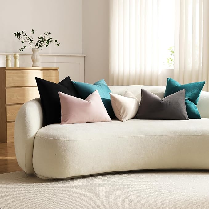 Throw Pillow Covers 20x20 Black: Pack of 2 Cozy Soft Velvet Square Modern Luxury Decorative Throw Pillow Cases for Sofa Couch Living Room Bed Home Decor