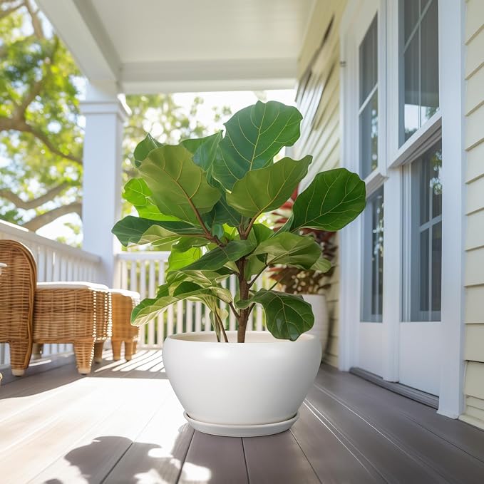 Ceramicfor Planter for Indoor Plants 13 Inch - Ceramic Plant Pot with Drainage Hole and Saucer Decorative Round Large Planter Pot for Plants Outdoor Flower Pot for Room Decor White