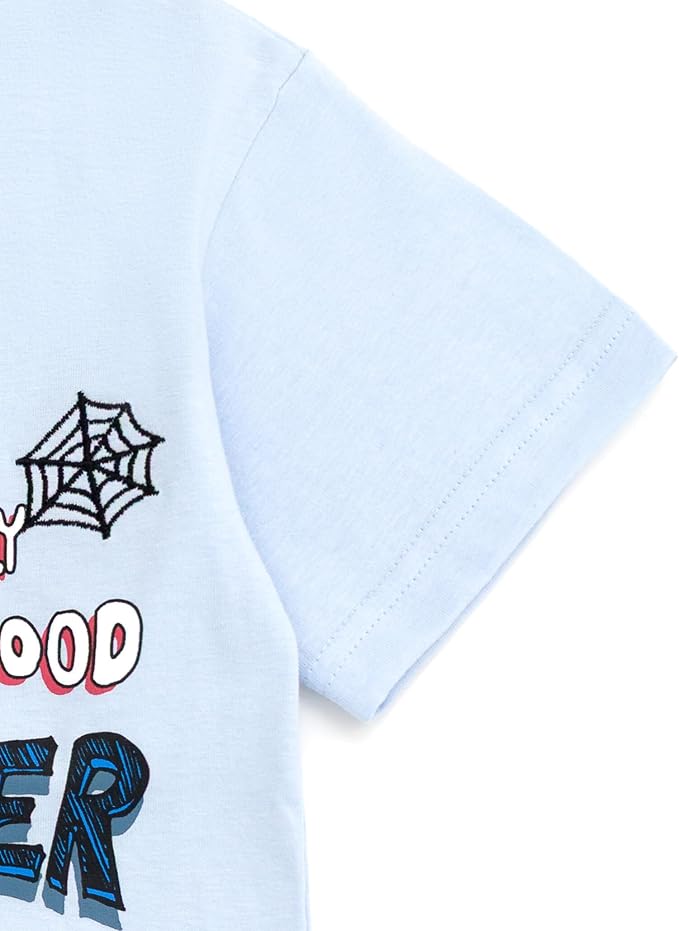 Marvel Spidey and His Amazing Friends Birthday T-Shirt Toddler to Big Kid Sizes (2T - 10-12)