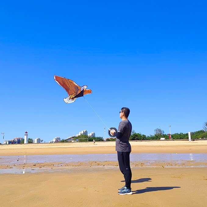 Kites for Kids and Adults, Easy to Fly for Beach, Single Line Kite Set for Beginners