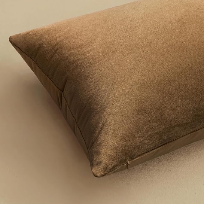 MIULEE 24x24 Inch Pack of 2 Euro Velvet Throw Pillow Covers Chocolate | Soft Solid Decorative Euro Sham, Modern Luxury Home Decor, for King Bed Sofa Couch Bedroom Livingroom