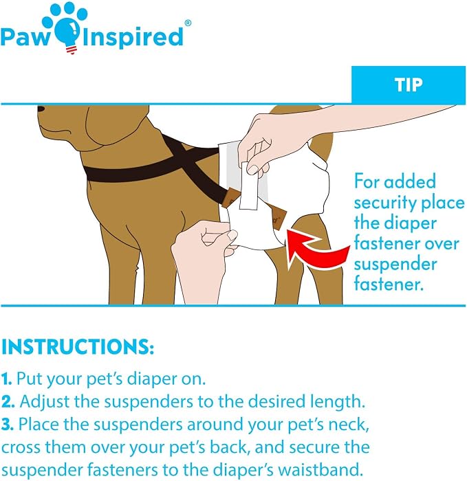 Paw Inspired Reusable Dog Diapers Bundle, XS, 3-Pack with Suspenders | Washable Diapers in Assorted Colors with White Lining Combo Pack with Black Suspenders