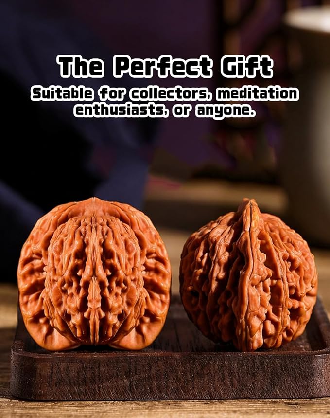 Jade Walnuts - 2026 Chinese Wenwan Walnut, Polishing Walnuts Fidget with Storage Box, Hand-Polished Natural Walnut Stress Relievers, For Meditation, Focus, And Collectors (Pointed Hat A, 1.61-1.65in)