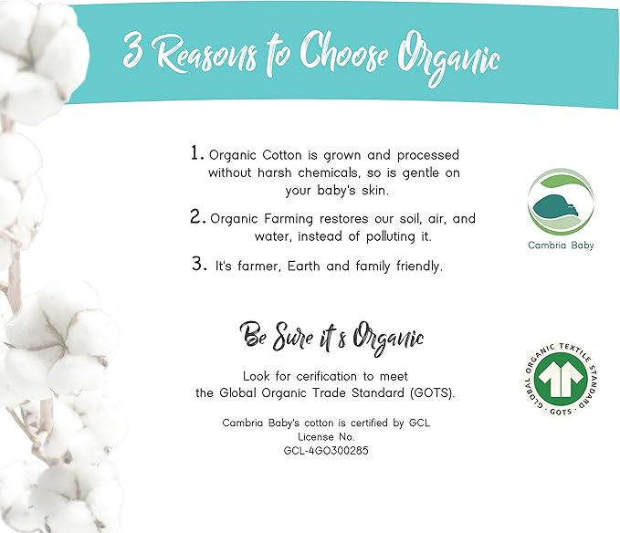 100% Organic Cotton Fitted Sheets Perfectly Compatible with Graco Pack n Play, Babyletto, Pamo Babe, Hiccapop, Dream on Me, Evenflo, Baby Trend Portable/Mini Crib/Playards. 2 Pk