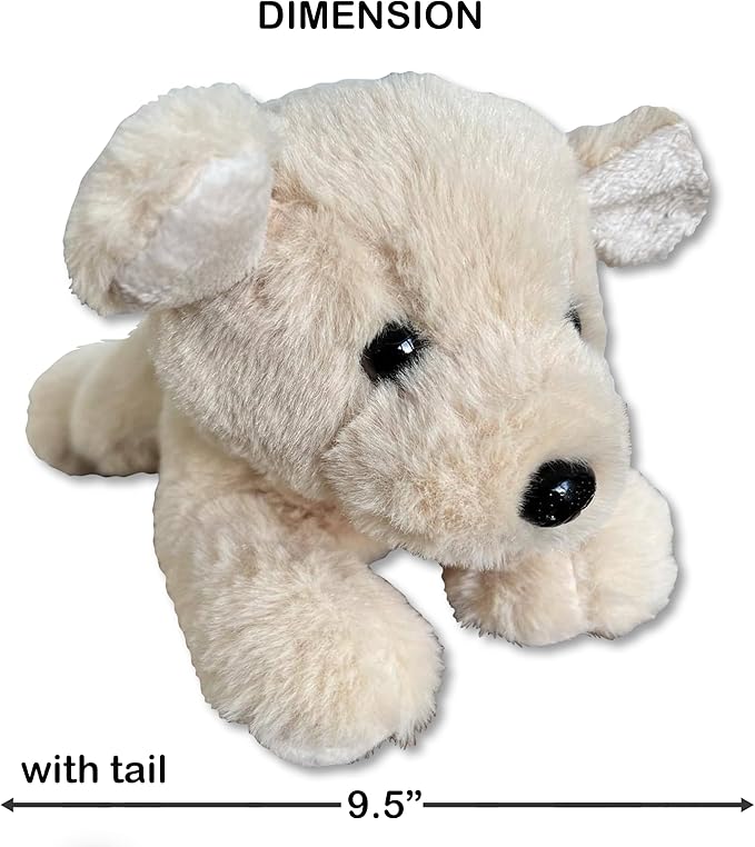 Biscuit Storytime Set: Educational Book and Plush Puppy Toy Combo for Kids and Toddlers - Bright, Colorful, and Interactive - 6.5 x 8 Book and 9.5" Stuffed Animal
