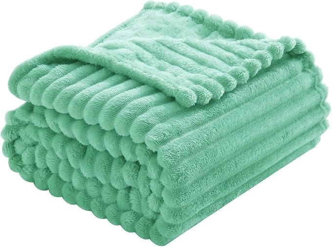 Mint Green Fleece Throw Blanket 60”×80” for Couch Sofa Livingroom | Super Soft Cozy Plush Microfiber Flannel Bed Blanket Striped Design Lightweight Home Decor Gifts for Adults Mom Women