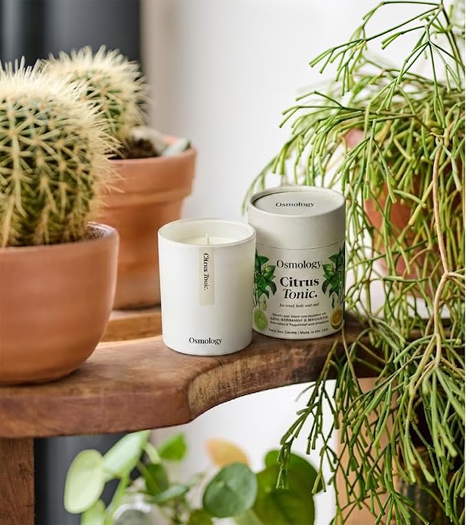 Citrus Tonic Aromatherapy Candle – Mandarin, Lime & Grapefruit Scented Candle, Plant-Based Wax, 7 oz, 45 Hour Burn Time, Fresh & Uplifting Candle