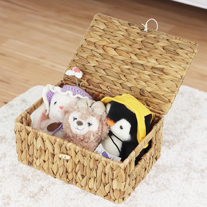 Water Hyacinth Wicker Baskets with Lids, Set of 2 | Small and Medium Storage Boxes, Shelf Organizer Bins, Rectangular Woven Design, Multipurpose Home Storage, Natural Decor