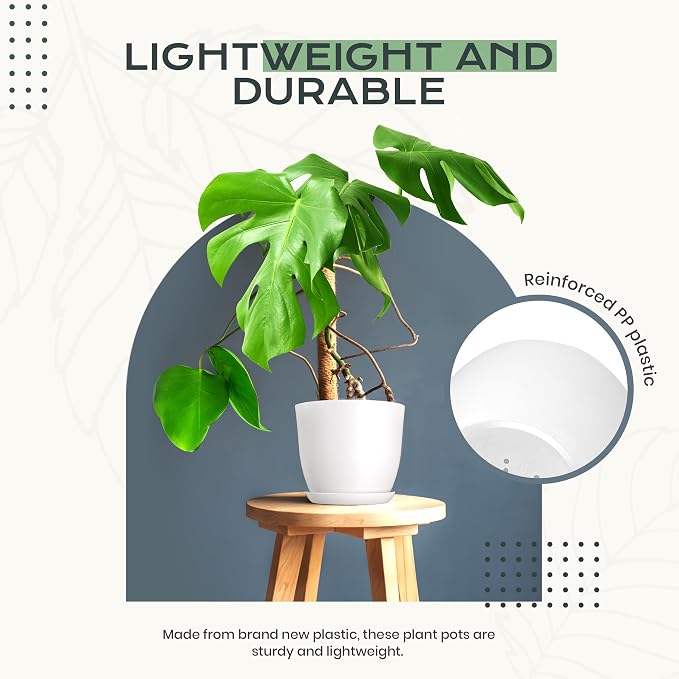 Plant Pots Indoor with Drainage, 10 Pack Multi-Size Planters Set, Grey | Drainage holes included Multiple sizes 7/6.6/6/5.3/4.8 In Indoor plants and flowers Durable plastic construction