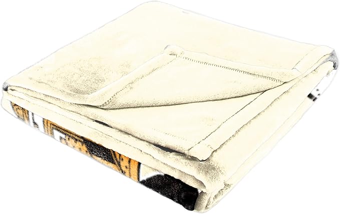 Jay Franco Kids Plush Throw Blanket – Soft & Cozy Fleece Throw for Bedroom & Couch Décor, Official Licensed Product, Beige - Wall-E, 60x90 - Large Blanket