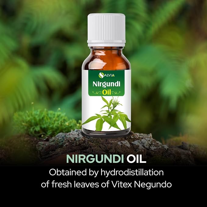 Salvia Nirgundi (Vitex Negundo) Oil - 100ml/3.38Fl Oz