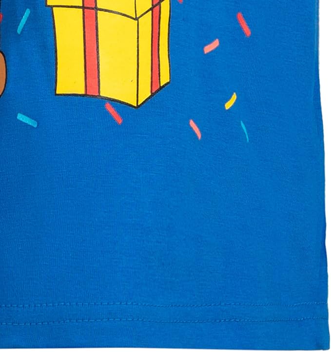 Paw Patrol Birthday T-Shirt Toddler to Little Kid Sizes (2T - 7-8)