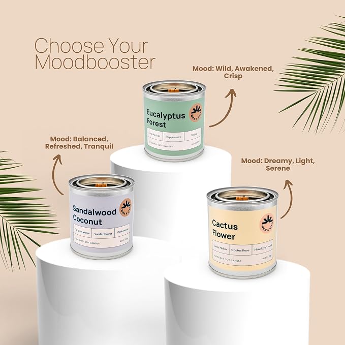 Wick & Star Vegan, Wood Wick, Natural Coconut Soy Wax Aromatherapy Candle, Clean Burning (Arroz con Leche)
