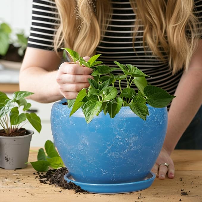 Ceramicfor Ceramic Planter - 8 Inch Plant Pot with Drainage Hole and Saucer, Glaze Round Flower Pot for Home Garden Patio Office, Blue