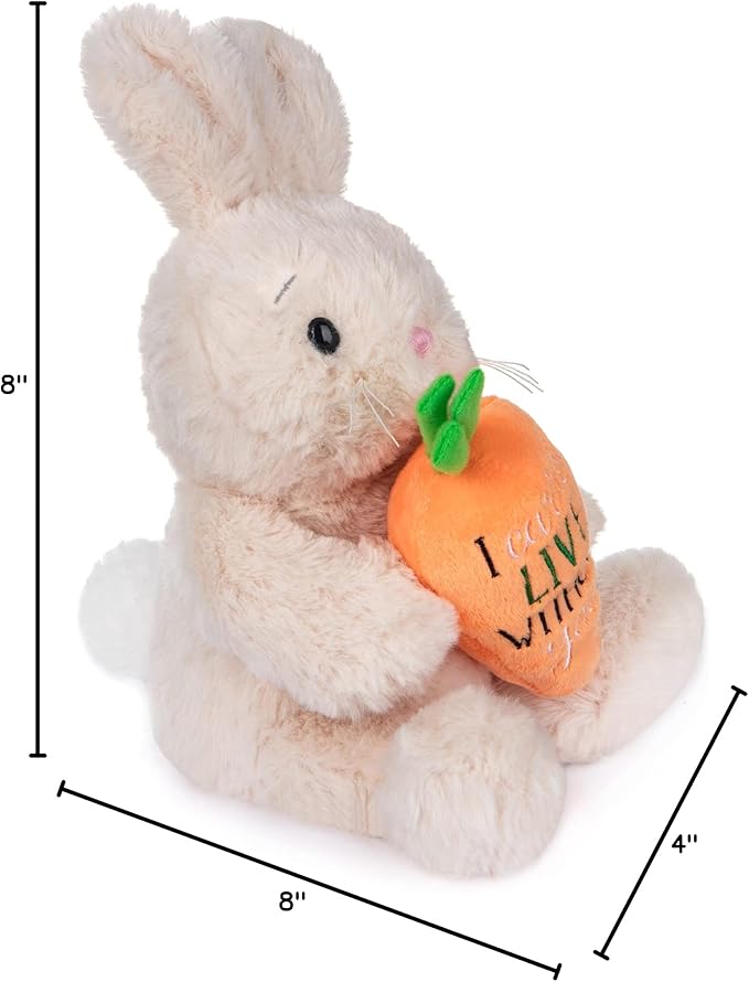 My OLi Bunny Stuffed Animal - 8in Plush Bunny with Carrot Sitting Rabbit Stuffed Toy Gifts for Girls Boys Kids